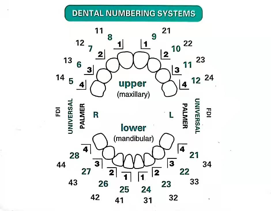 Kit cetakan Veneer gigi 32 pcs - Teeth Whitening Moulds ulasan dan harga