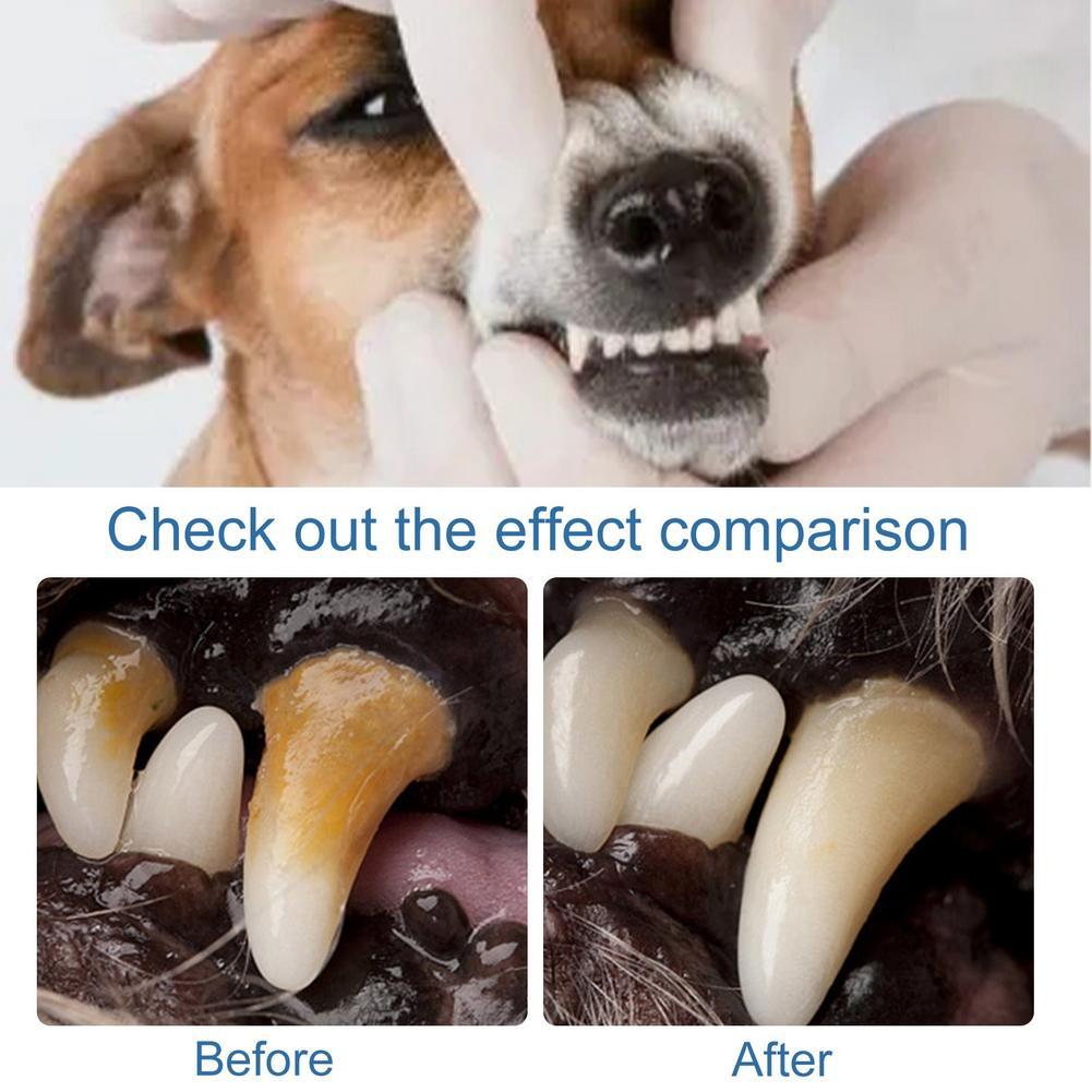 60ml Pembersih Mulut Berbusa u - Teeth Whitening Foam ulasan dan harga